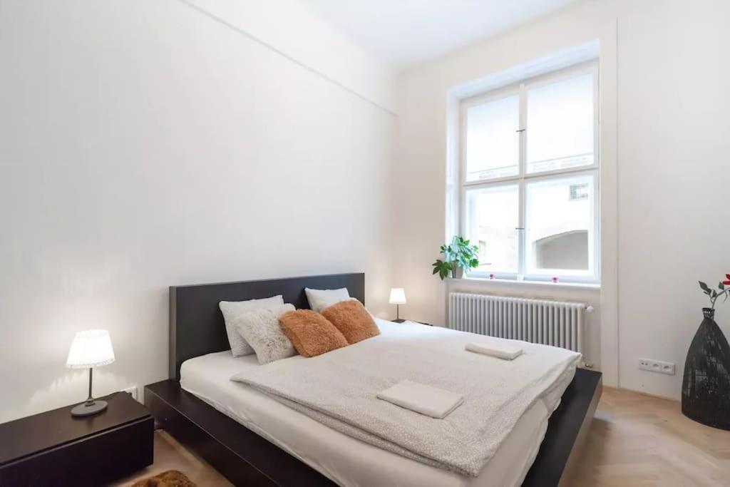 Luxury Apartment On Old Town Square 布拉格 外观 照片